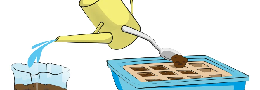 Gießkanne, Löffel, Erde